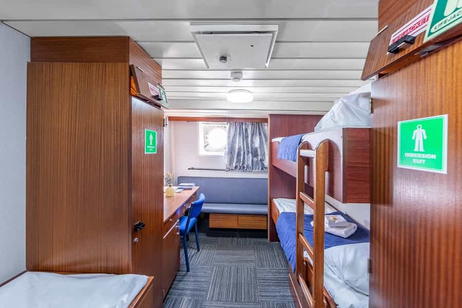 cruiseImg0