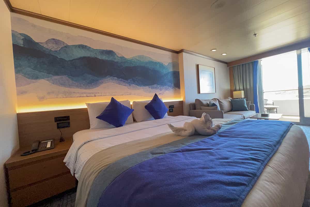 cruiseImg0
