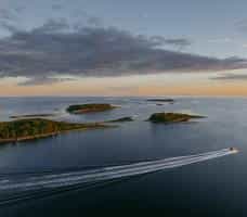cruiseImg0